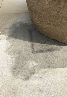 Tanin stain from wooden planter in York Stone